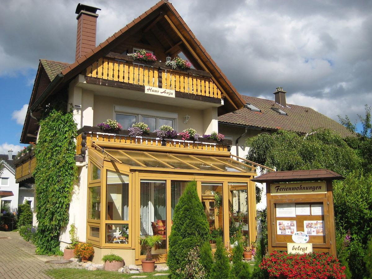 Haus Anja Daire Titisee-Neustadt Dış mekan fotoğraf