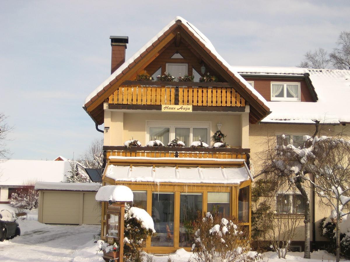 Haus Anja Daire Titisee-Neustadt Dış mekan fotoğraf